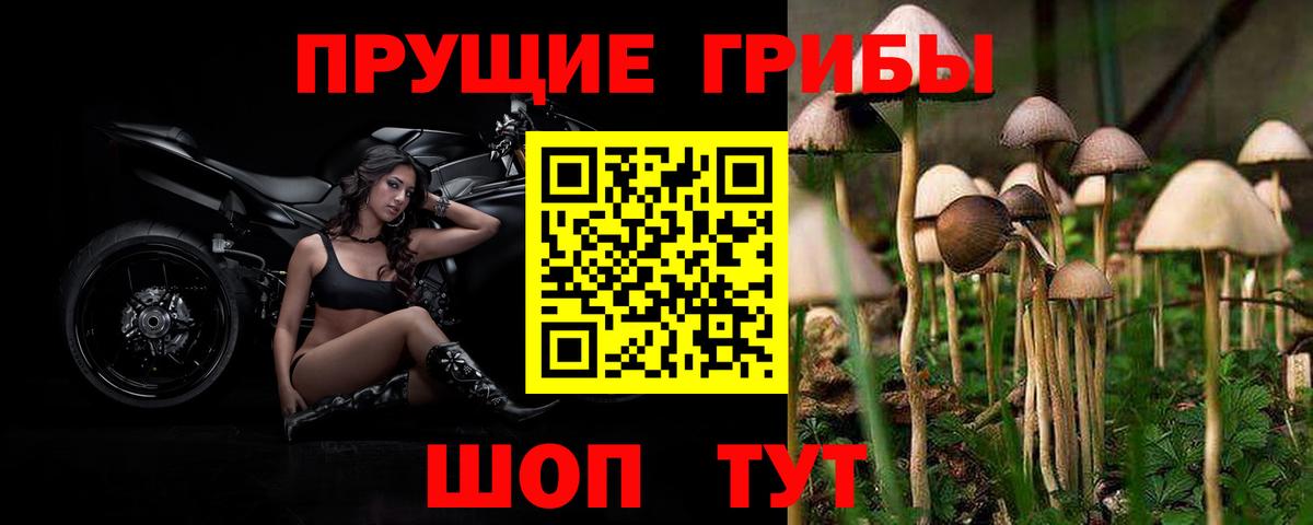 Галлюциногенные грибы Magic Shrooms Саяногорск